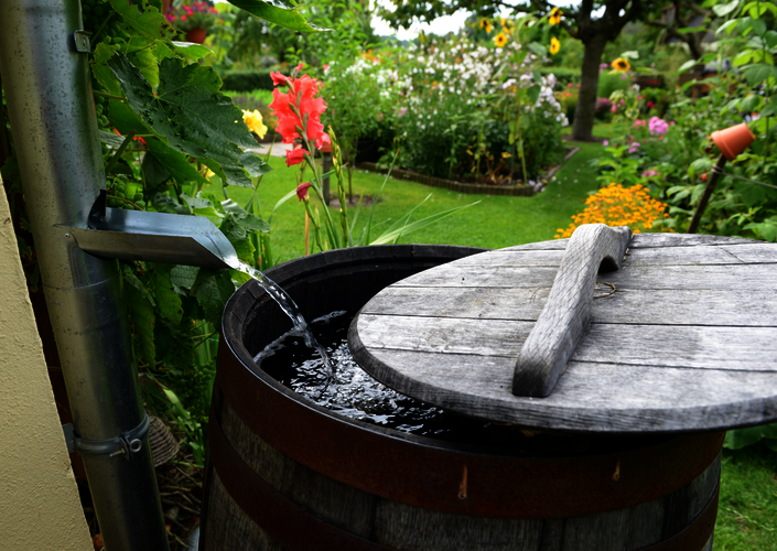 Regenton in een groene tuin