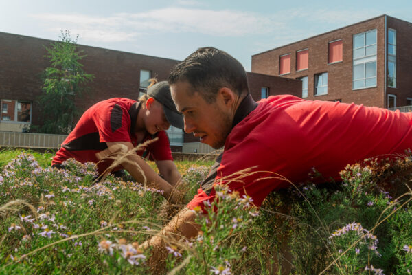 Hoveniers aan het werk in de tuin