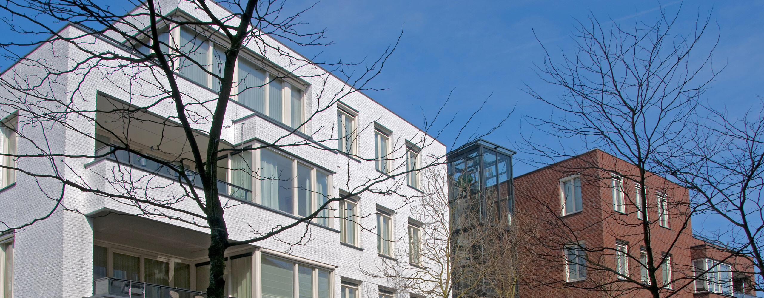 Zonnige van het complex De Biezen met kale bomen ervoor