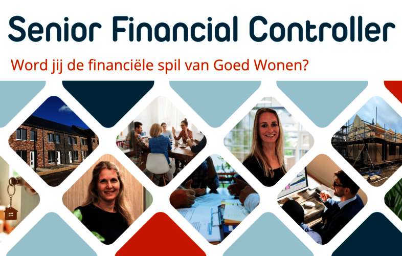 Illustratieve afbeelding bij vacature Senior Financial Controller