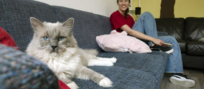 [Translate to English:] 