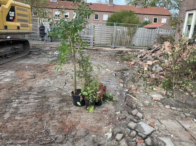 Planten die weggegooid zouden worden, krijgen met project Struikroven een tweede kans
