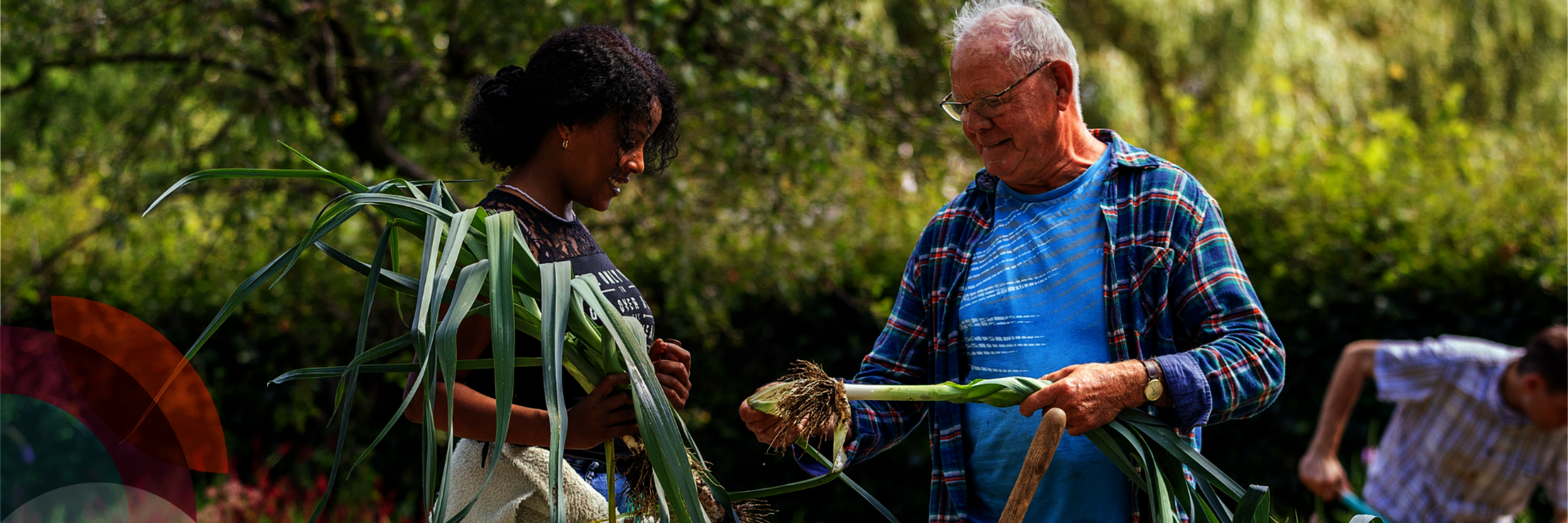 Bewoners werken in moestuin