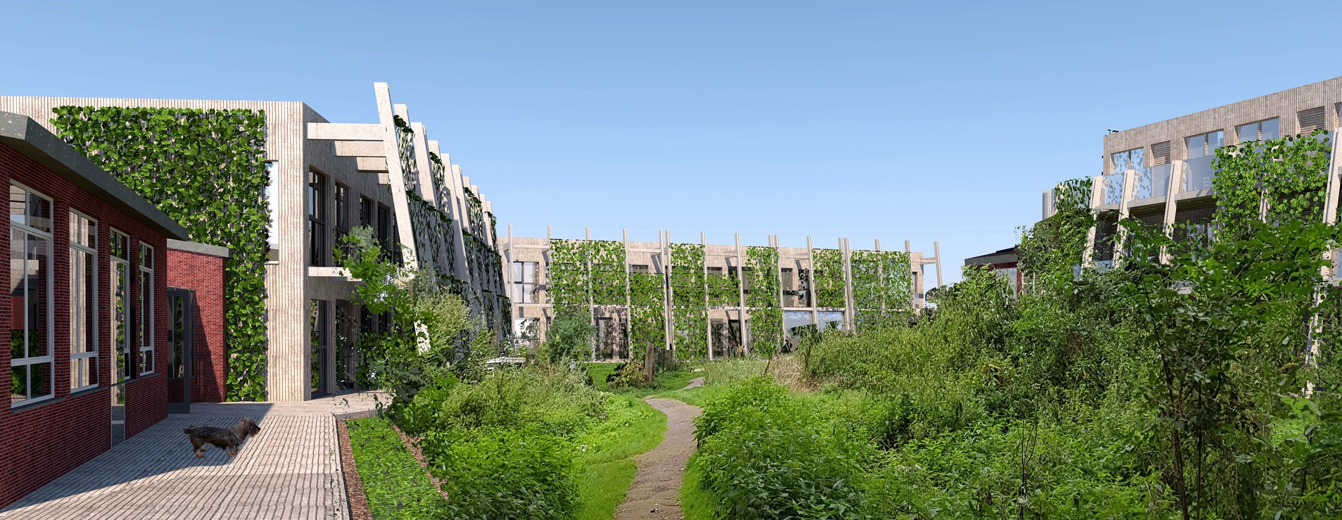 Binnentuin Ecohof Noorderveer
