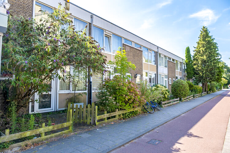 In de Savornin Lohmanstraat