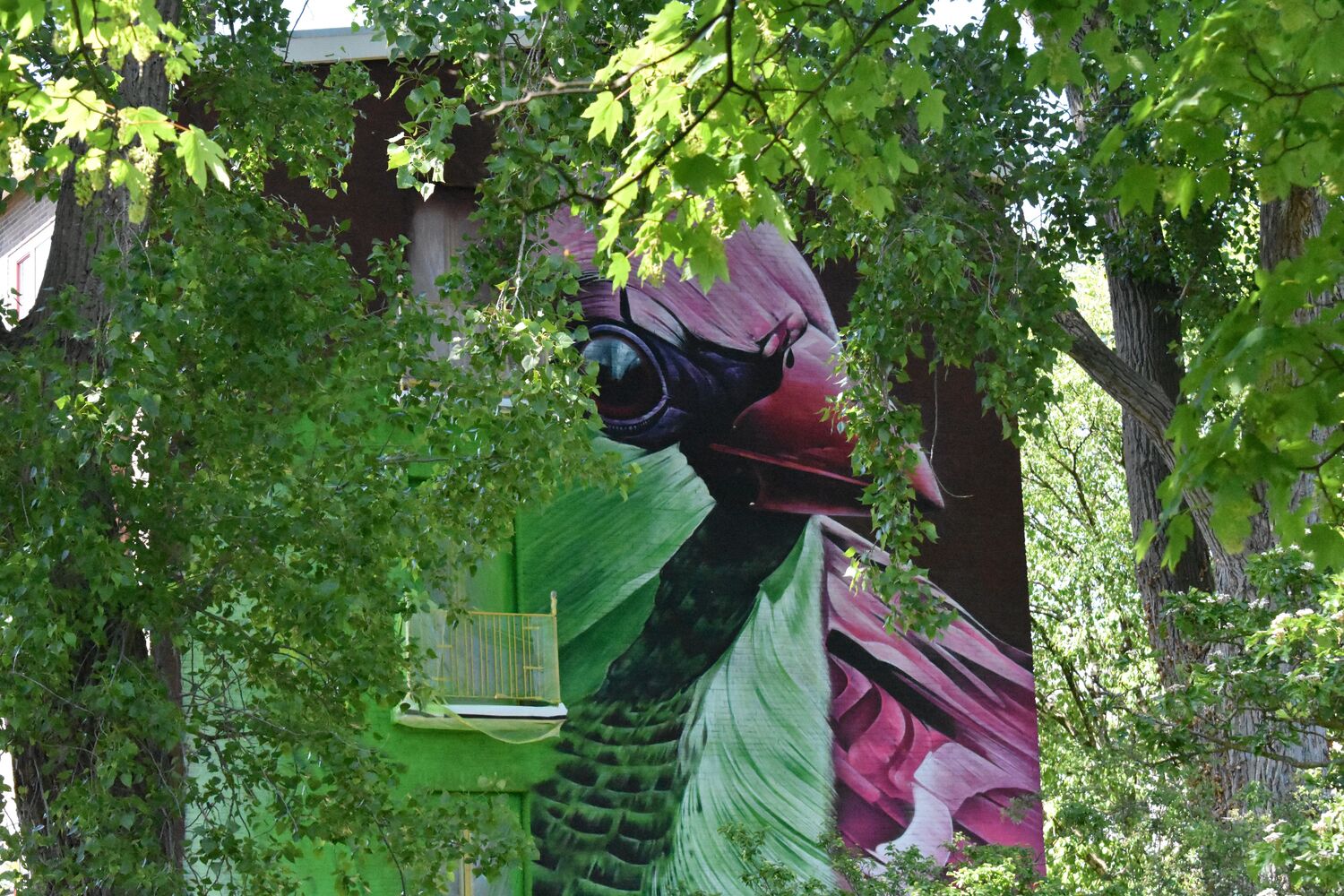 Platanenweg wordt Street Art Road