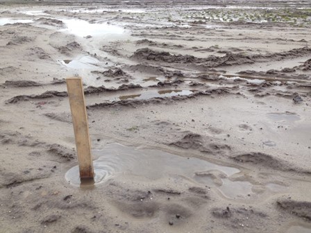 Bouwterrein met modderige ondergrond en een houten paal die rechtop in de natte grond staat.