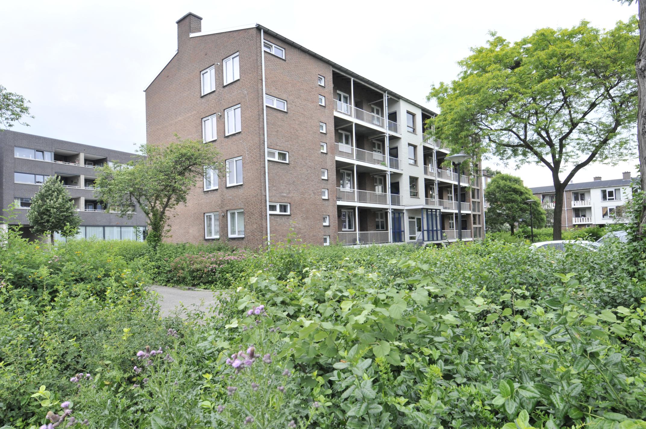 Elbert Franssenstraat 7, Roermond