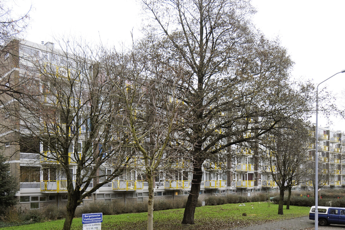 Voorzijde woningen project NeVe, gefotografeerd door bossages.