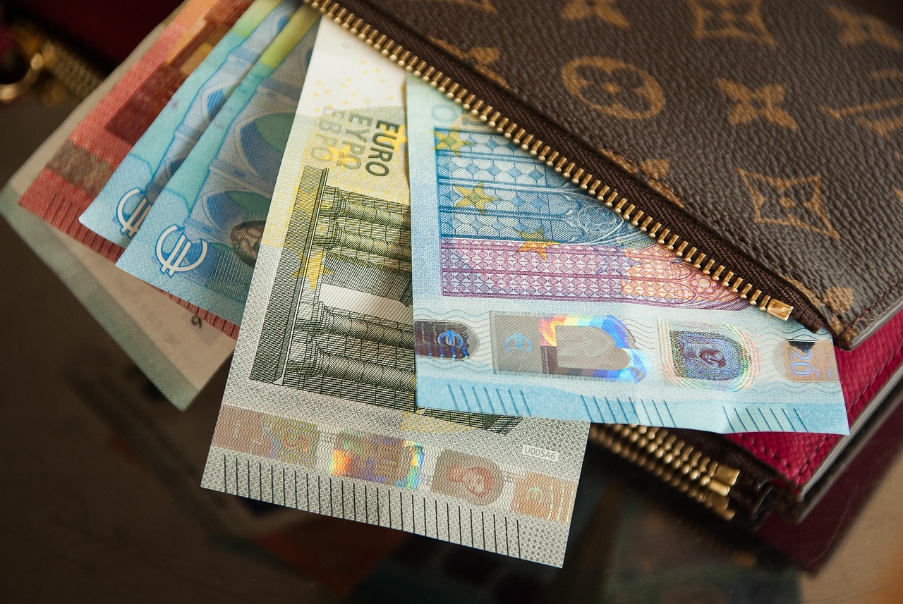 Portemonnee met geld