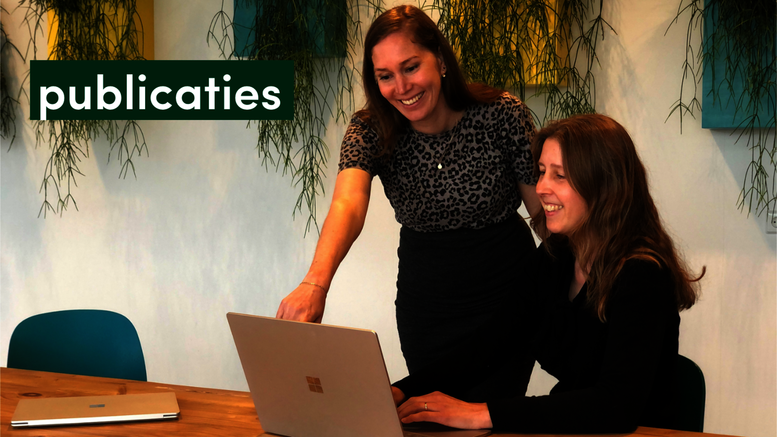 afbeelding publicaties