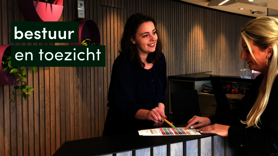 afbeelding bestuur en toezicht