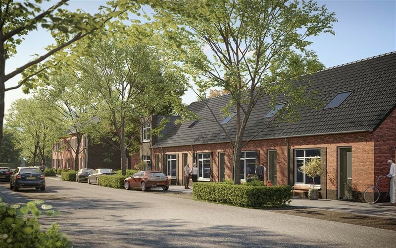 Boomrijke straat in de wijk Hal5 met stoep en geparkeerde auto's op een zonnige dag