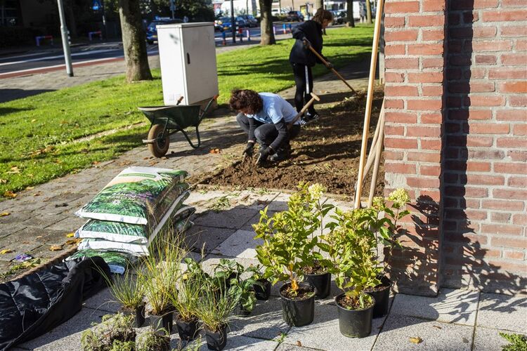 Foto werken in de voortuin